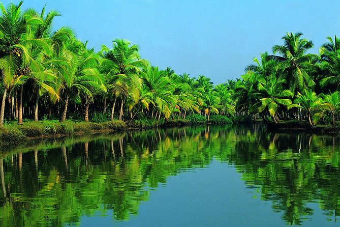 Cochin Shore Excursion: Backwater Houseboat Tour and Chinese Nets - The Coach Ride to Alleppey: Sit Back, Watch the World Change