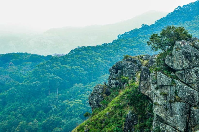 Coimbatore: Ooty Day Trip with Private Cab - Why This Private Coimbatore–Ooty Day Trip Can Be Great Value