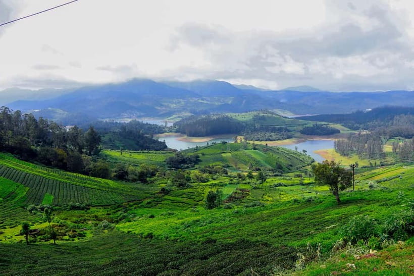 Coimbatore: Ooty Day Trip with Private Cab - Ooty Lake Boat Cruise: The Main Event and the Crowd Reality