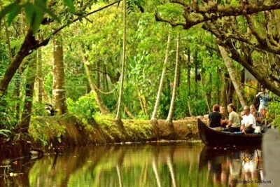Cultural Tour To Vaikom Village - Village walk: meeting local families and seeing daily life