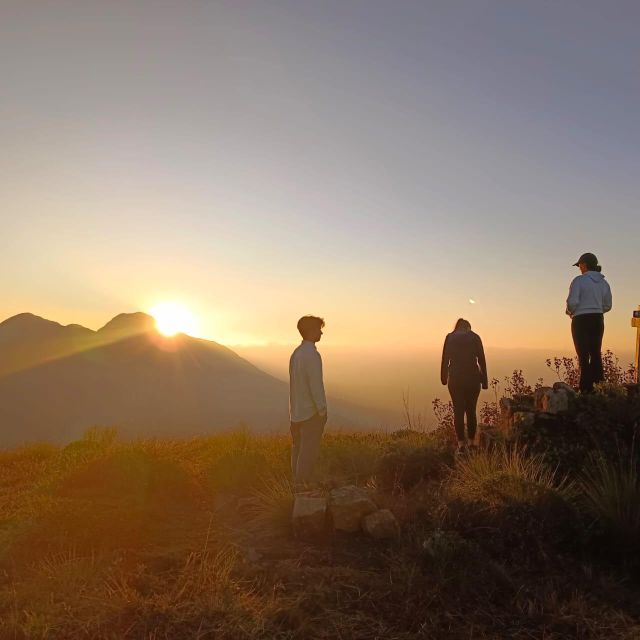 Dawn's Embrace: Sun Rise Trek at Lakshmi Hills, Munnar - The Tea Museum: Demo, Tasting, and What It Explains
