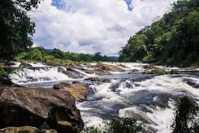 Day Trip to Athirappilly Water Falls by Kochi Taxi - Thumboormuzhi Dam & Garden: Butterflies, a Hanging Bridge, and a Break From Driving