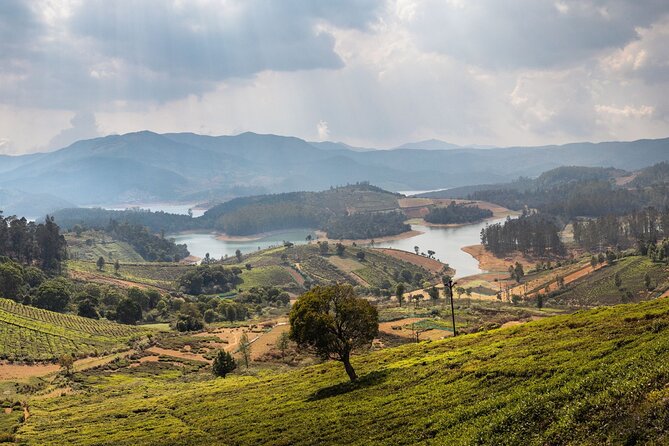 Day Trip to Coonoor (Guided Sightseeing Tour by Car from Ooty) - A Private Ooty-to-Coonoor Day: How the Car Tour Works