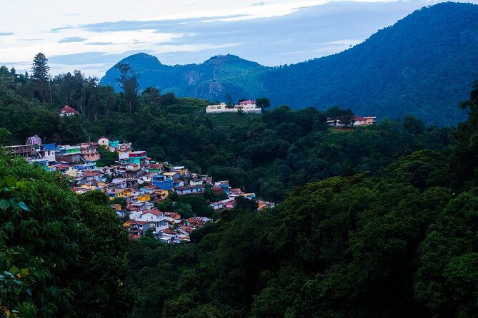 Day Trip to Coonoor (Guided Sightseeing Tour by Car from Ooty) - Doddabetta Peak: The Highest Nilgiri Stop (and Why It’s Worth the Hour)