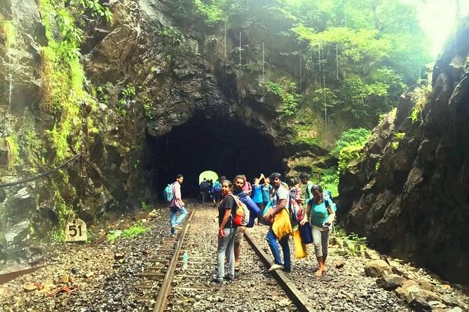 Dudhsagar- The Other Side of GOA - Private Tour Feel: Why Group-Only Changes the Day