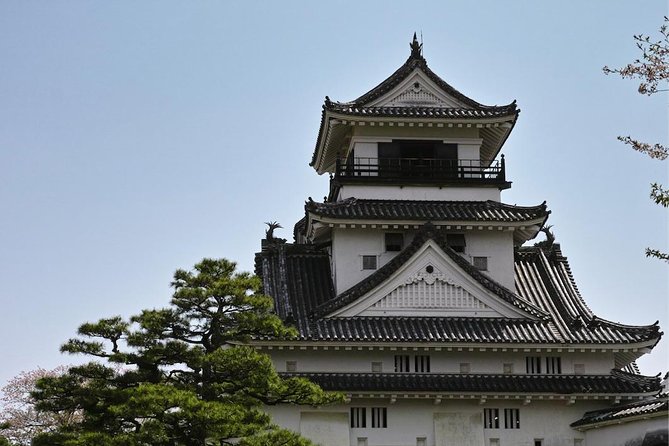 Experience the energy of Kochi: Sunday Market Tour includes Kochi Castle - Key things to know before you go