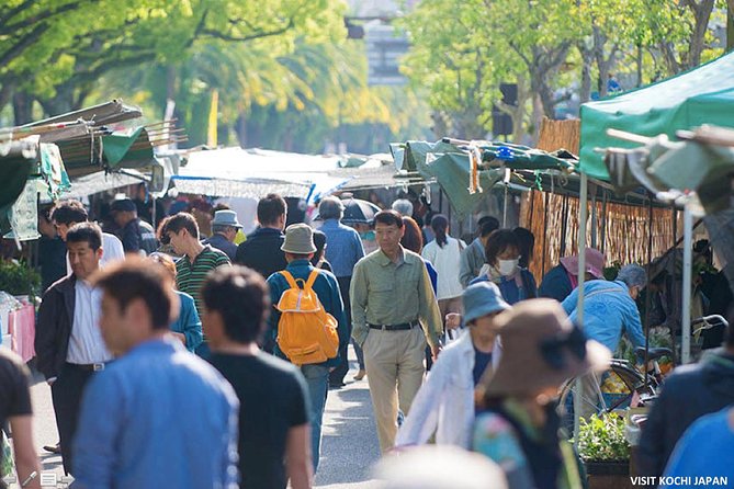 Experience the energy of Kochi: Sunday Market Tour includes Kochi Castle - Hirome Ichiba: a food hall that turns tasting into an easy plan