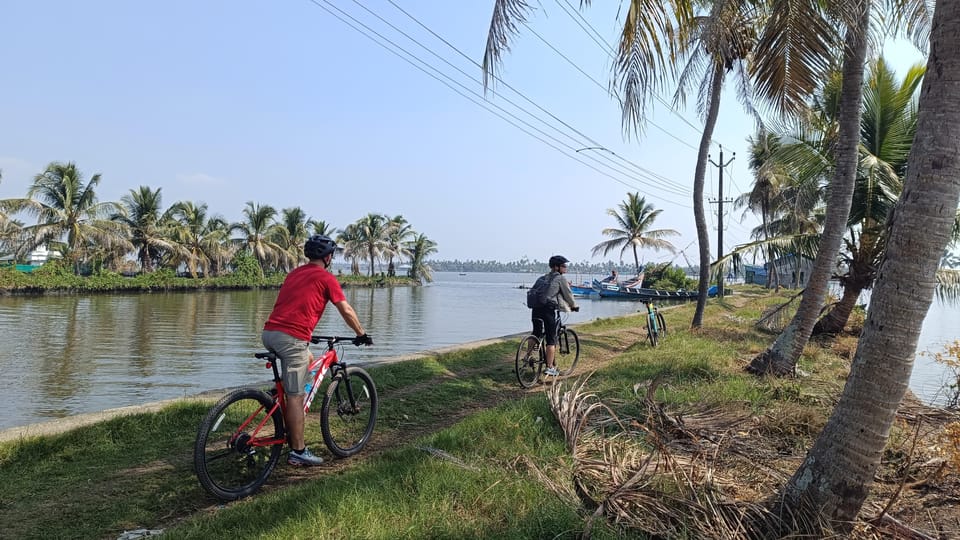 Fort Kochi Beach and Backwater eBike/Cycling Tour (Half Day) - Kumbalangi backwater village: where the water slows everything down