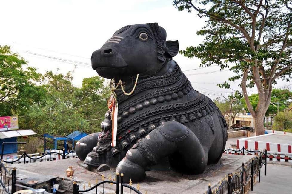 From Bangalore: Bannerghatta Park & City Sights Private Tour - Lunch Timing: Don’t Let This One Hour Steal Your Afternoon