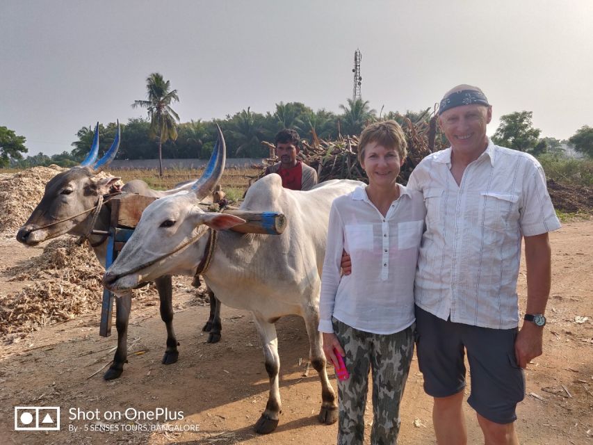 From Bangalore: Day Trip to Somnathpur & Talakadu with Lunch - Starting 7:30 AM From Bangalore: The Drive Time and How to Prep