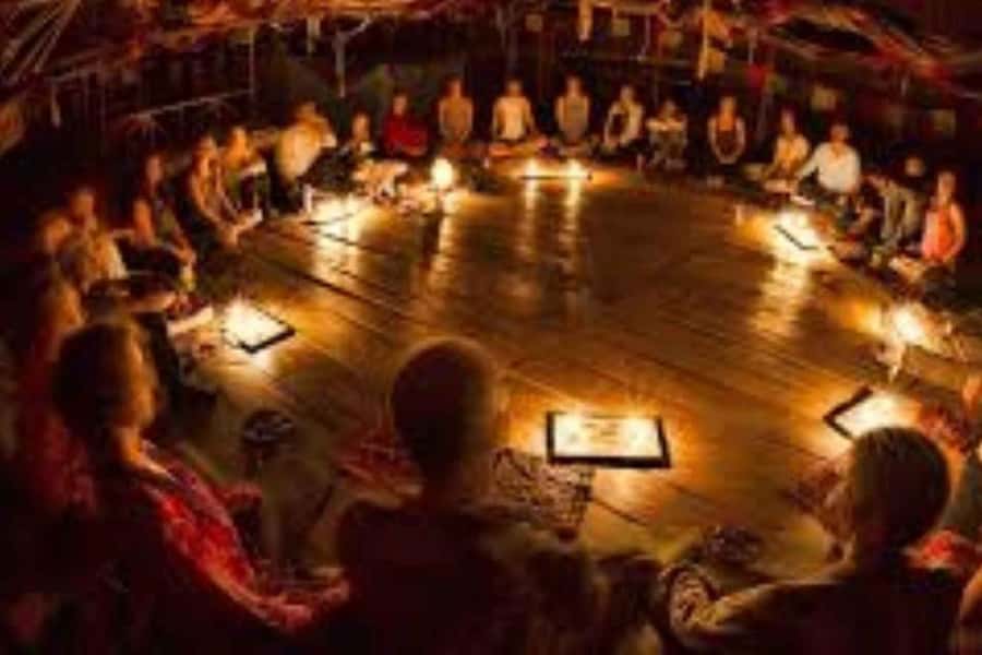 From Cochin: 4-Night/5-Day Kerala Tour - Price and value: what $364 per person really buys