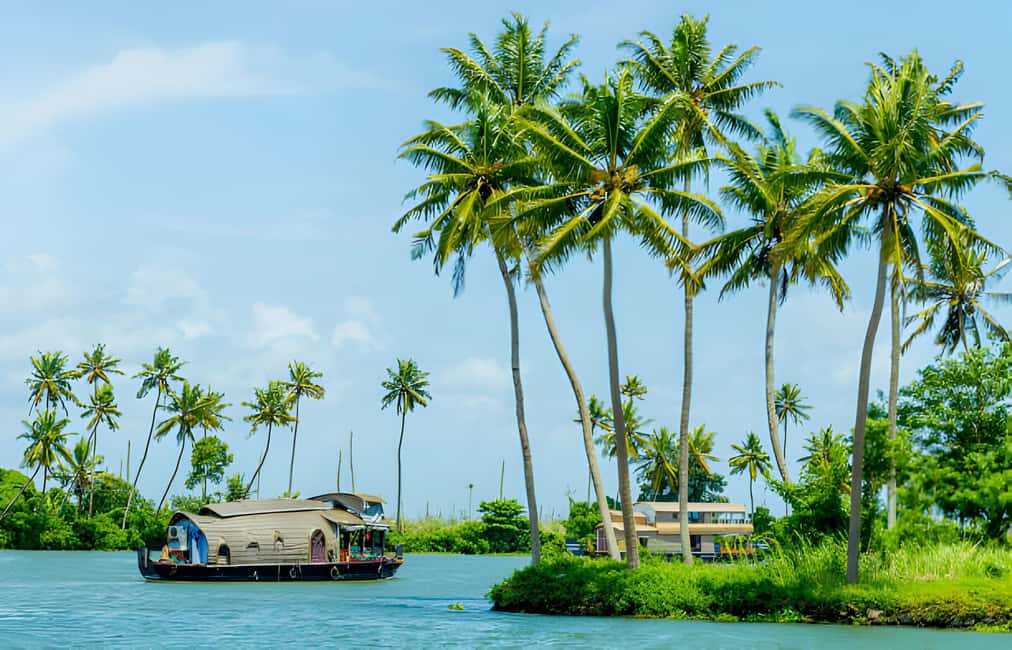 From Cochin: Day Tour of Alleppey houseboat with Lunch - From Cochin to Alleppey: How the Day Starts Smooth