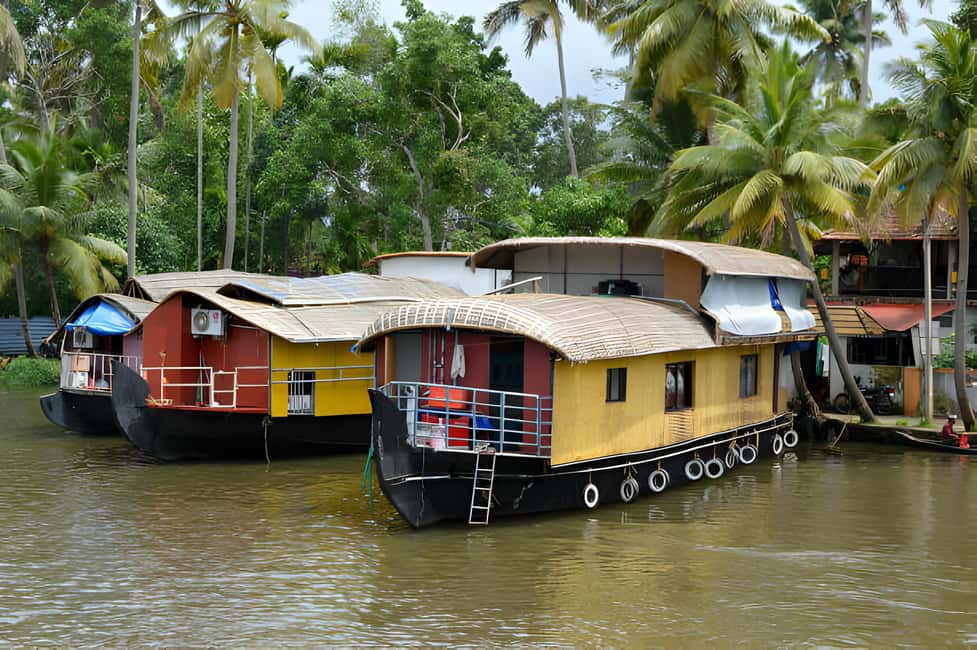 From Cochin: Day Tour of Alleppey houseboat with Lunch - Lunch, Tea, and Snacks: What Included Food Really Means