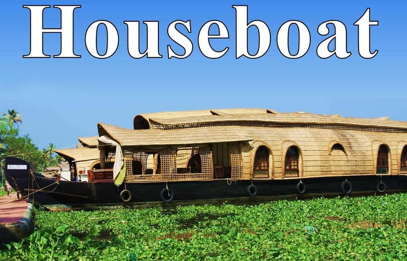 From Cochin Port: Backwater Cruise and Chinese Nets - Key things to know before you go