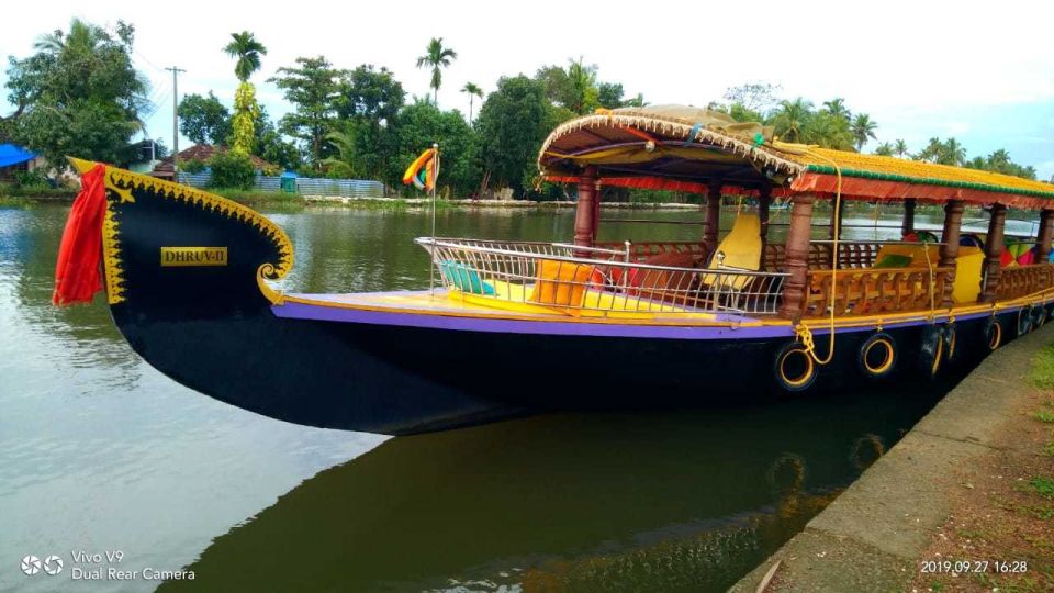 From Cochin Port: Backwater Cruise and Chinese Nets - Cruising Alappuzha backwaters: paddy fields, palms, and real quiet