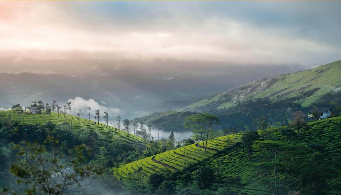 From Cochin: Thekkady 2-Day Tour with Jeep Safari - What to pack for Kerala comfort (and for safari readiness)