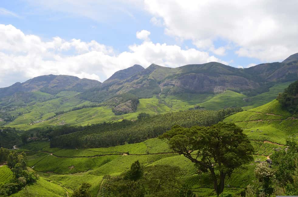 From Cochin: Thekkady 2-Day Tour with Jeep Safari - FAQ