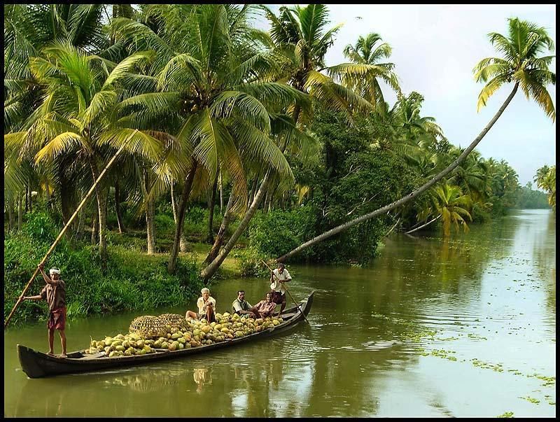 From Kochi: 2-Day 1-Night Alappuzha Private Houseboat Cruise - Day 1 from boarding at noon to dinner on the water