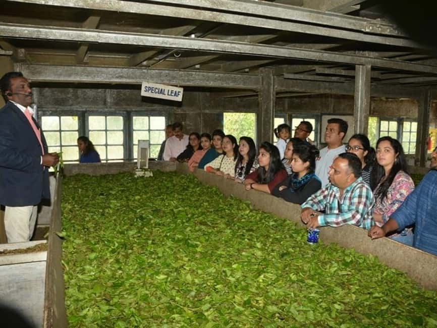 From Munnar: Tea Factory, Plantation, and National Park Tour - Key Things That Make This Munnar Tour Worth Your Time