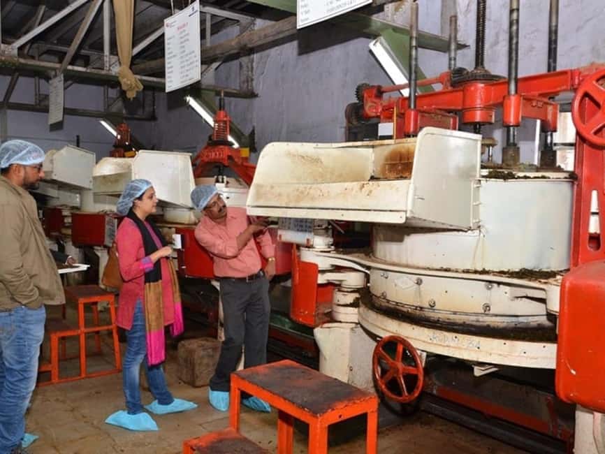 From Munnar: Tea Factory, Plantation, and National Park Tour - Guided Tea Plantation Trek: The Walk You’ll Actually Remember