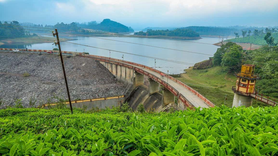 From Munnar: Tea Factory, Plantation, and National Park Tour - Who This Tour Suits Best (and Who Might Skip It)