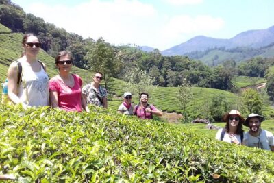 Full day in hiking in Munnar (By Munnar Info) - Tea Gardens, Canandevan-Style Walking, and the Slowest Kind of Workout