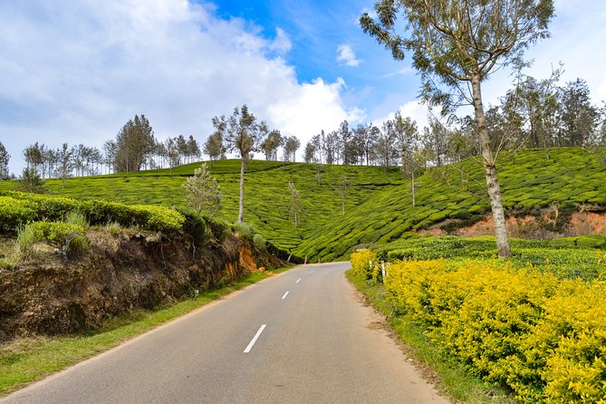 Full-Day Private Tour to Munnar from Kochi with Lunch - A fast, scenic one-day run from Kochi to Munnar