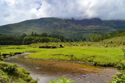 Full-Day Private Tour to Munnar from Kochi with Lunch - How the private pickup and long day schedule works
