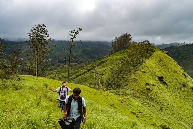 Full-Day Private Tour to Munnar from Kochi with Lunch - Kannan Devan Hills and Mattupetty Dam: tea country views you can actually time