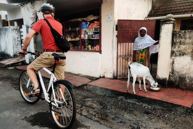 Good Morning Kochi Bicycle Tour - Jew Town: antiques, spices, and the Paradesi Synagogue area