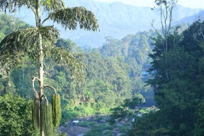 Green Magic Day Tour to Munnar - Waterfall stop 1: Cheeyappara Waterfalls (about 4 hours)