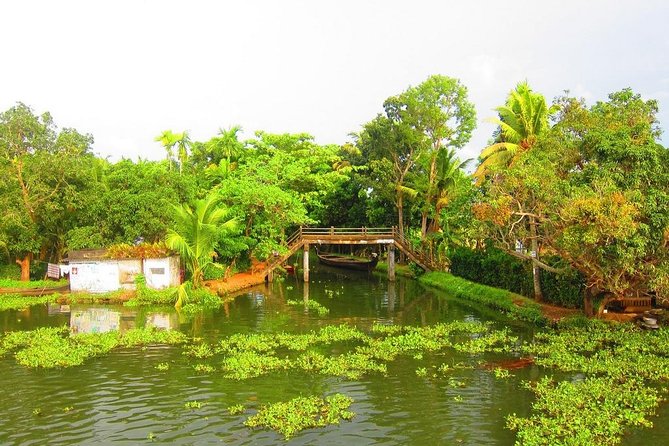 Group Shore Excursion from Cochin Port - Who This Shore Excursion Fits Best