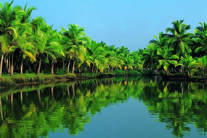 Group Shore Excursion from Cochin Port - Fort Kochi Highlights by Coach: Chinese Fishing Nets and More