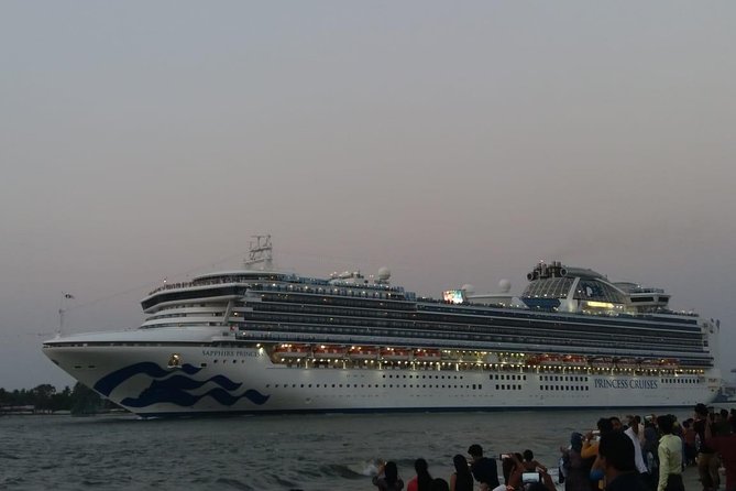 Half-Day Private Taxi Tour in Kochi - Cruise-Ship Pickup That Actually Works