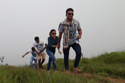 half day trekking - Tea plantations, grassland edges, and why the scenery makes sense