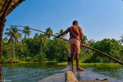 Half Day Village Houseboat Tour (from Cruise terminal in Kochi) - Half-day backwaters from Kochi: what this tour really delivers