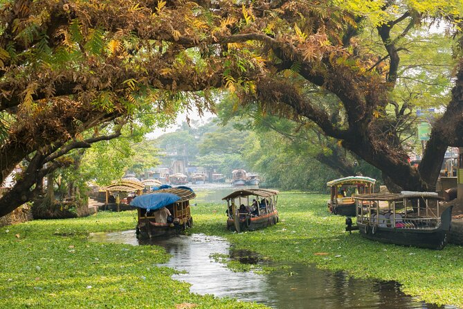 Heritage & Cultural Walk of Alleppey (Guided Walking Tour) - Key highlights you’ll feel right away