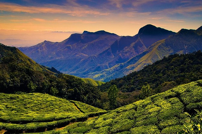 Hill station farm house stay - Periyar Wildlife Sanctuary: timing and entry fees
