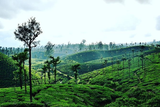 Hill Station Tour from Coimbatore to Valparai - 2 days - Key highlights at a glance