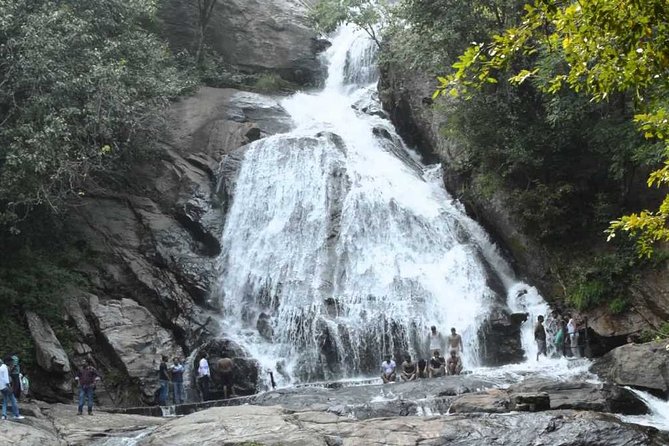 Hill Station Tour from Coimbatore to Valparai - 2 days - Day 2: Guided Valparai city tour and the ride back to Coimbatore