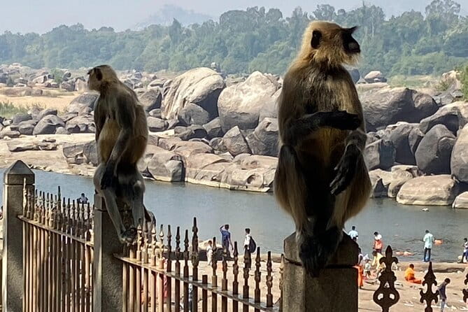 Hire a Licensed Guide for Fullday Hampi visit with own transport - Price and What It Actually Covers (Plus the Fees You’ll Pay)
