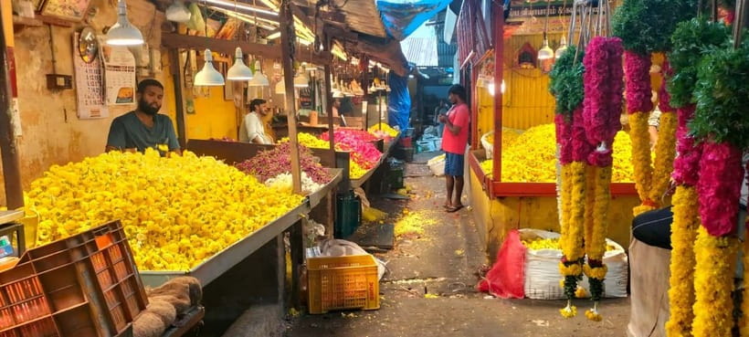 Indian Cooking & Market Tour in Pondicherry with Manisha Ray - The Rickshaw Ride to a Home Kitchen That Feels Like Someone’s Real Life