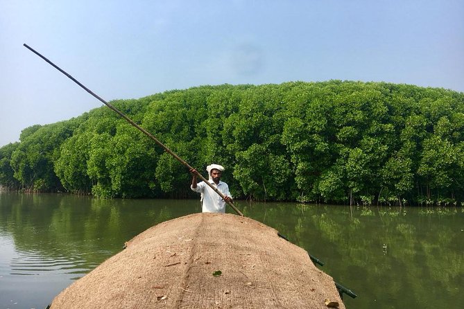 Into the Mangroves: Calicut Mangrove Trail by Tyndis - Key things I think you’ll care about