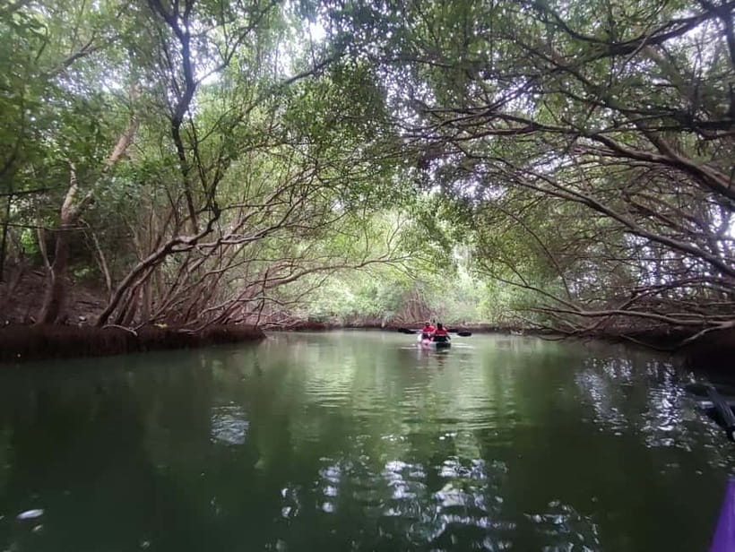 Kayaking in Backwaters of Pondicherry - Key moments you’ll feel on this kayak trip