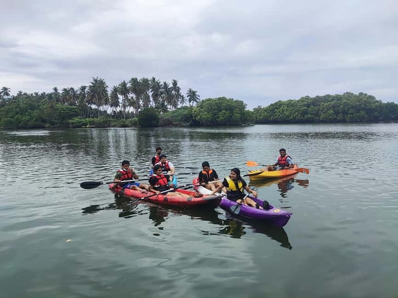 Kayaking in Backwaters of Pondicherry - Why Pondicherry’s backwaters reset your pace