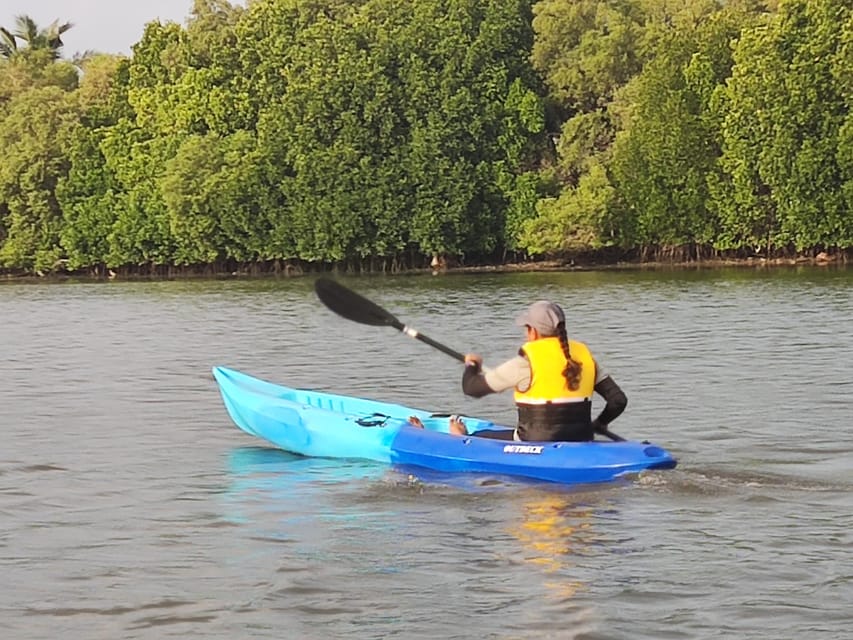 Kayaking in Backwaters of Pondicherry - Gliding through quiet channels and lagoon-like nooks