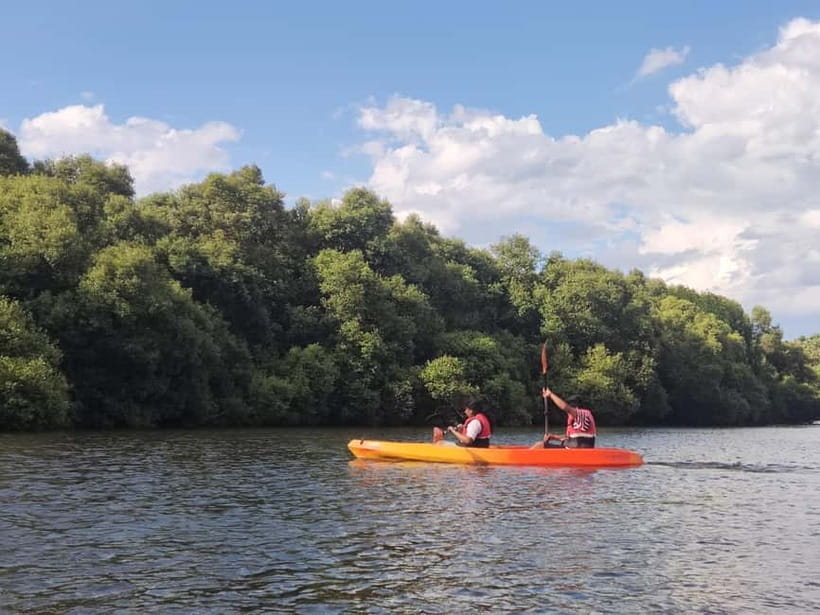 Kayaking in Backwaters of Pondicherry - Price and what $10 really buys you