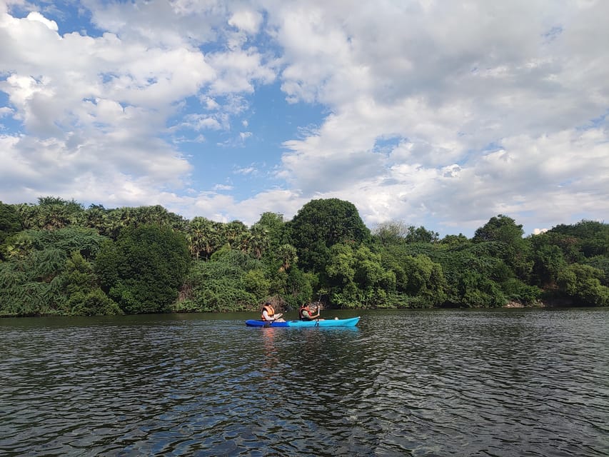 Kayaking in Backwaters of Pondicherry - Who should choose this kayaking session, and who should skip
