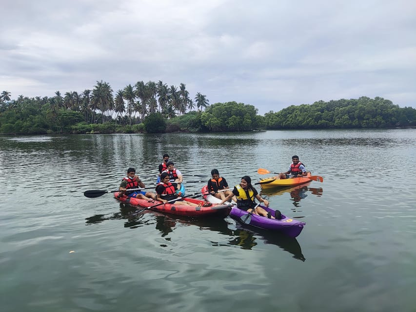 Kayaking in Backwaters of Pondicherry - Should you book this kayak trip in Pondicherry’s backwaters?