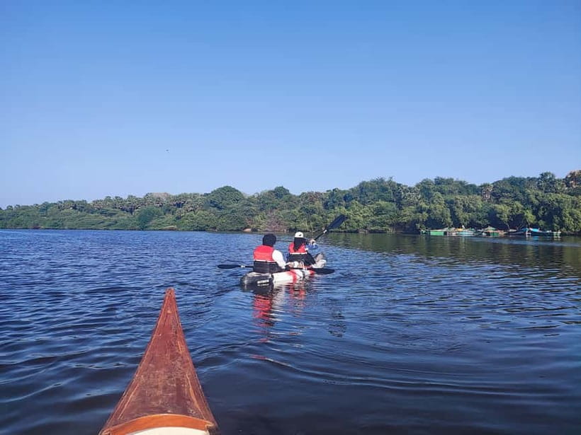 Kayaking in Backwaters of Pondicherry - From Art and Craft Village to Ariyankuppam River